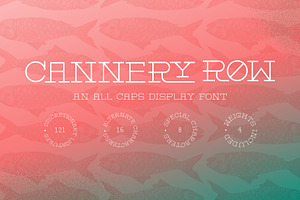 Cannery Row Slab Serif Display Font