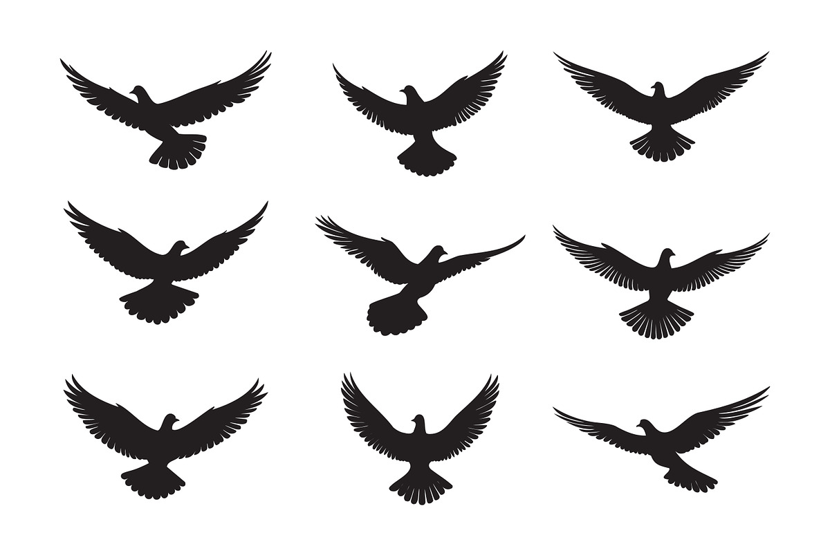 Silhouettes of pigeons, an Object Graphic by Saba Vector