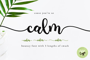 Calm Script - Long Tail Swash Font, a Script Font by Airotype