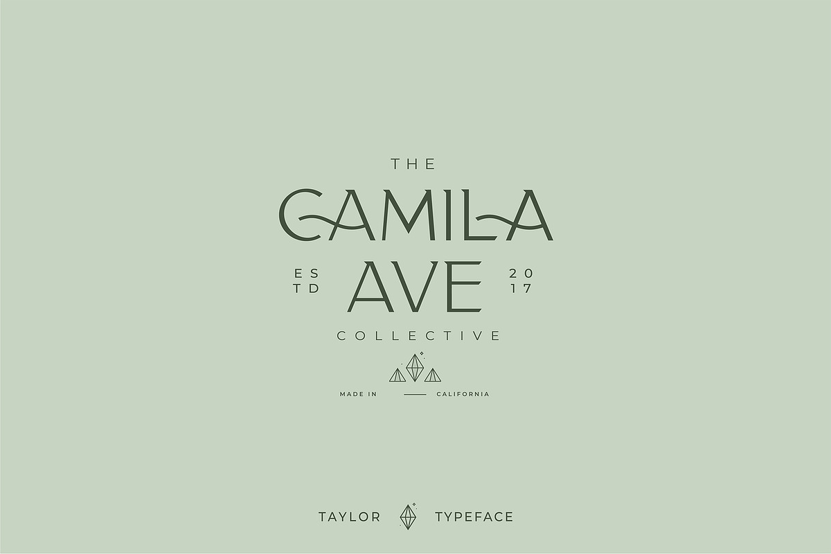 Classy Taylor Typeface, a Serif Font by CCS Type (Photo 11 of 24)