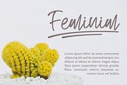 Renatta - Elegant Script Font, a Script Font by NTC Graphic (Thumbnail 3 of 9)