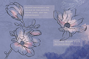 Wedding idea, Magnolia Collection, an Illustration by Bee_in_a_Nest (Thumbnail 2 of 4)