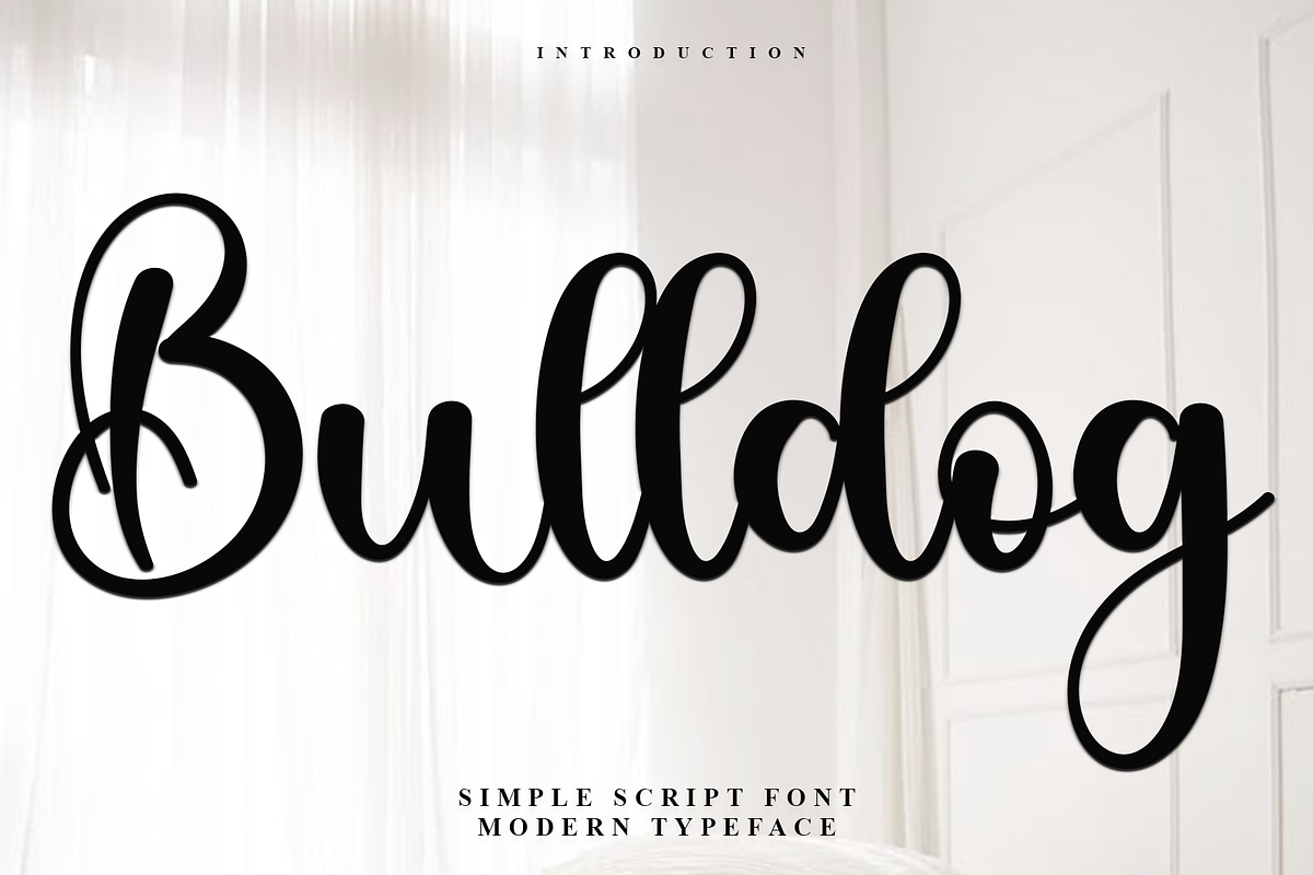 Bulldog, a Handwritten Font by InermediaSTUDIO (Photo 1 of 8)