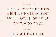 Atsuka Montreal - Font Family, a Serif Font by Grezline Studio (Thumbnail 10 of 15)