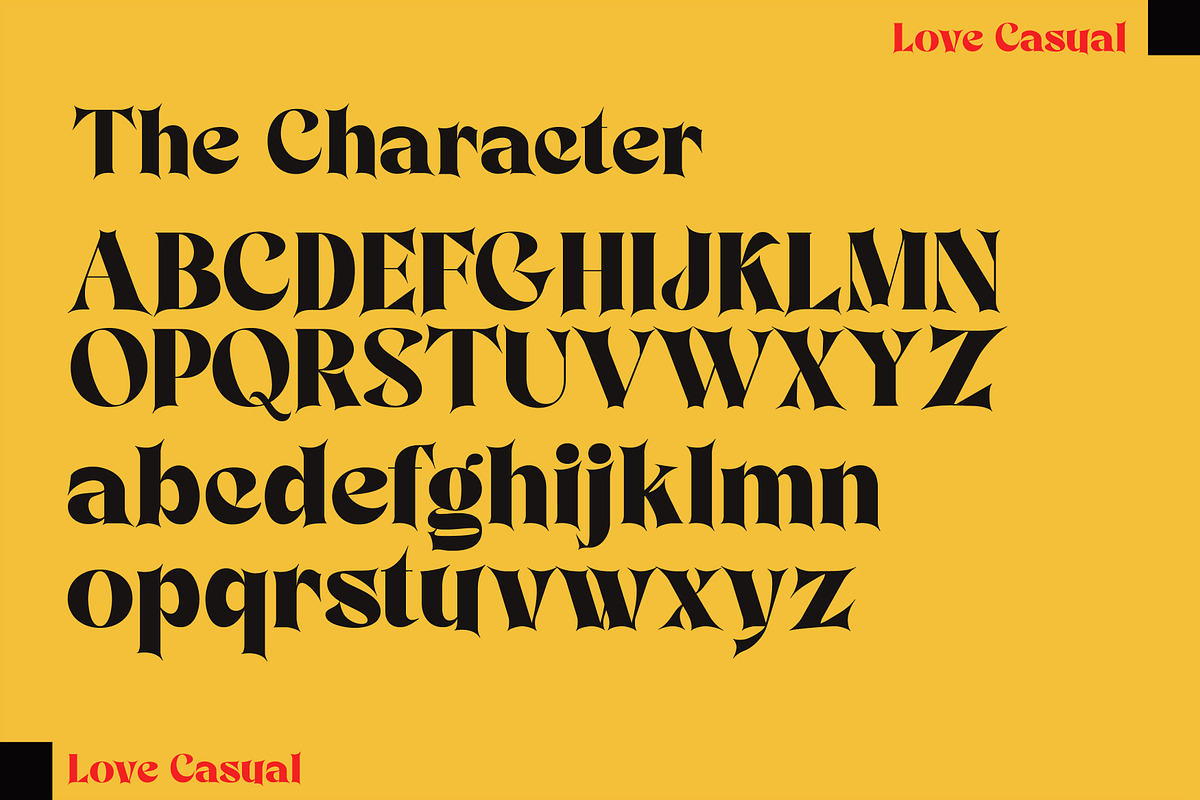 Love Casual, a Serif Font by Gatype (Photo 8 of 9)