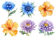 Watercolor Wildflower Clipart Bundle, a Seasonal Illustration by CitraGraphics (Thumbnail 8 of 10)