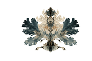 Heum Co. Botanical Inkblot Art, a Decorative Illustration by milatovar (Thumbnail 17 of 20)