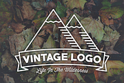 Vintage Logo Pack, a Branding & Logo Template by North & Beard Ltd (Thumbnail 4 of 7)