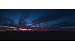Silhouettes of cars lined up against, an Illustration by tilialucida