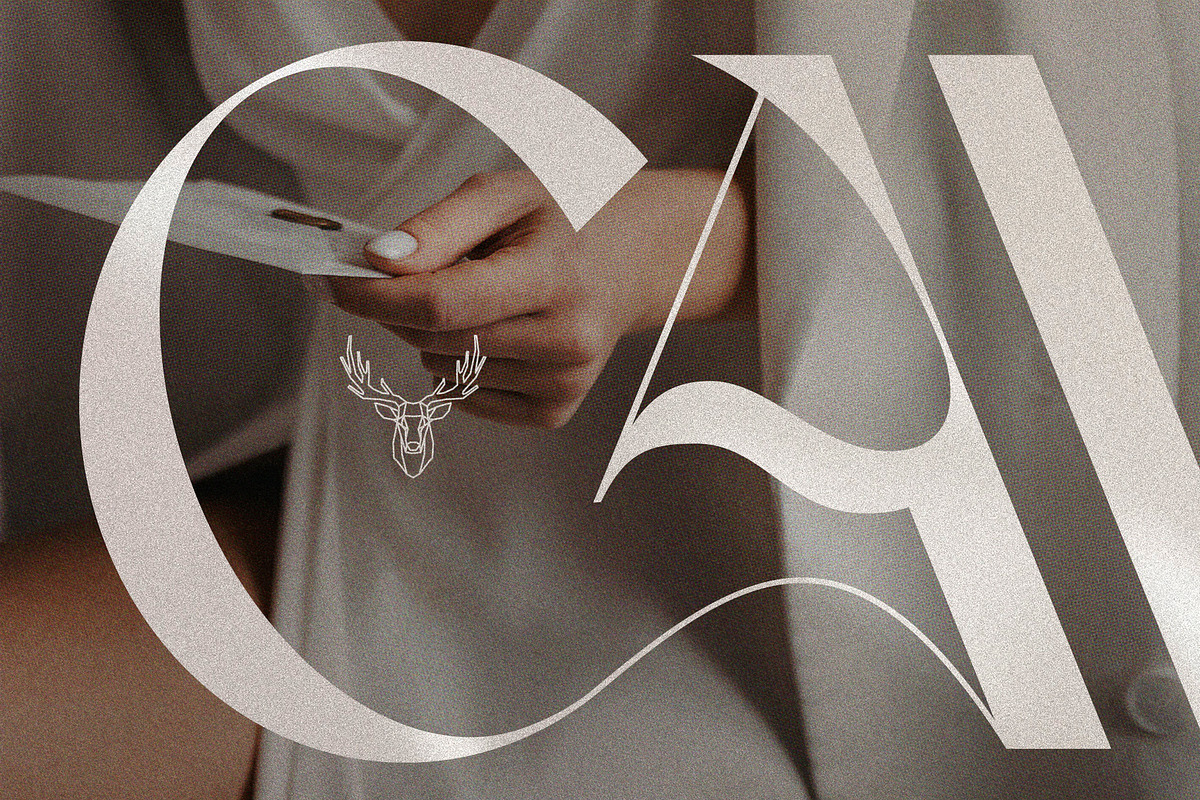 FRENCH CHATEAUX - Chic Display Font, a Sans Serif Font by SilverStag Type Foundry (Photo 9 of 22)