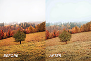 15 Cozy Fall Lightroom Presets, a Preset Add-On by TheWayfarerShoppe (Thumbnail 6 of 9)