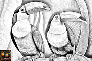 Elegant Line Art Sketch Action, an Action Add-On by MRI STUDIO (Thumbnail 14 of 21)