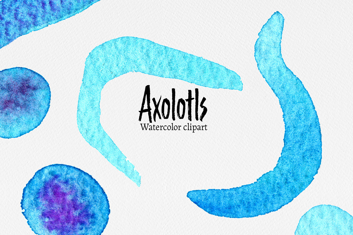 Clip art: Axolotl watercolor, an Animal Illustration by SandraGraphicDesign (Photo 2 of 6)