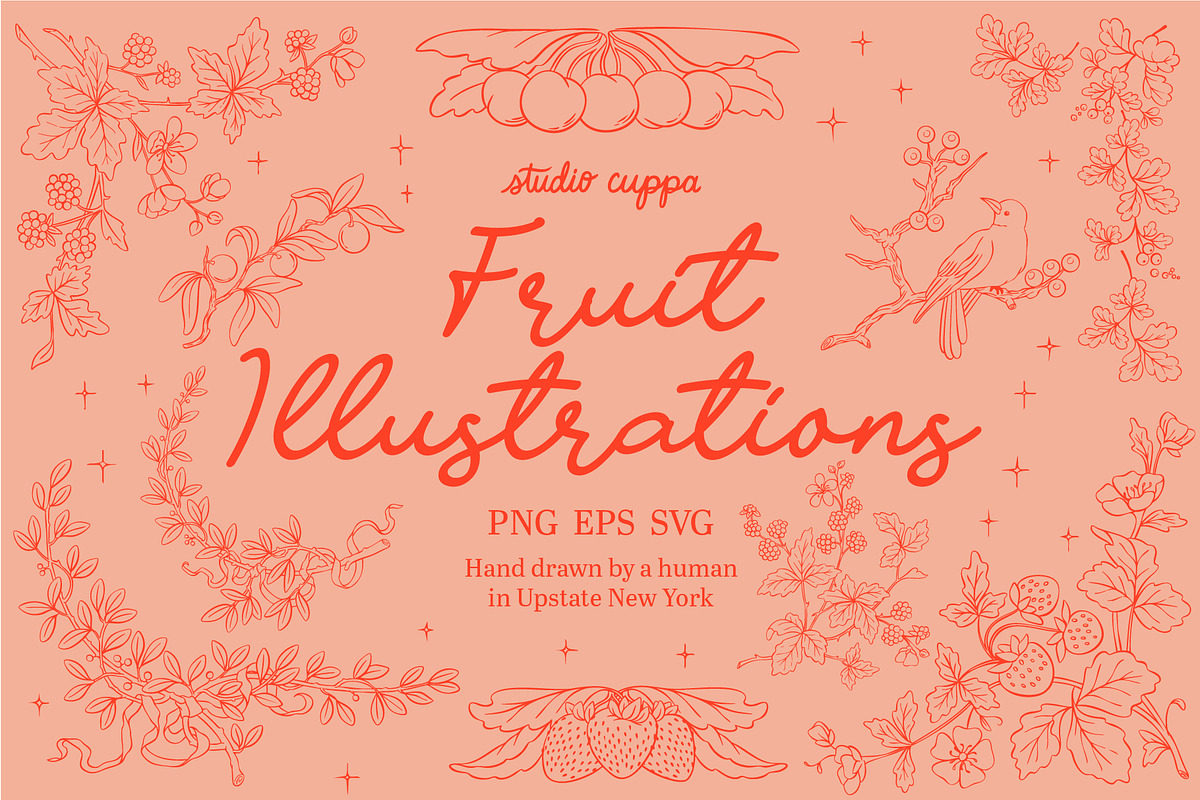 Fruit Illustrations PNG EPS SVG, a Food Illustration by Cuppakeri (Photo 1 of 2)