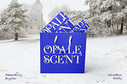 CF Winterberry - Christmas Serif, a Serif Font by Indotype Foundry (Thumbnail 8 of 10)