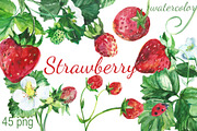 Watercolor Strawberry Clip art, a Food Illustration by DollyPotterson (Thumbnail 1 of 8)