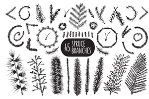 Hand Drawn Spruce Branches & Pattern
