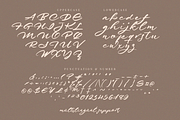 Just Quoting | A Script Font, a Script Font by Colllab Studio (Thumbnail 23 of 24)