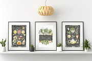 Watercolor Herbs and Spices, a Food Illustration by MayaNavits (Thumbnail 10 of 13)