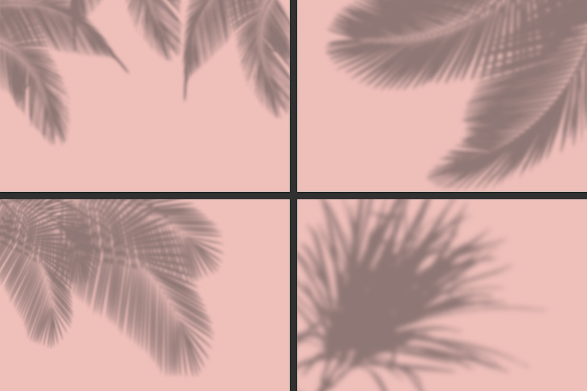 50 plants shadows, a Mockup by AnastasiyaOleynik (Photo 12 of 14)