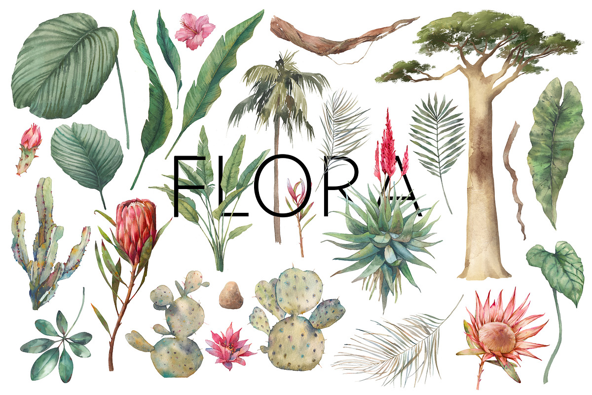 AFRICA, an Animal Illustration by Eisfrei (Photo 4 of 14)