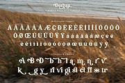Dorgan, a Serif Font by Flawless And Co (Thumbnail 11 of 12)