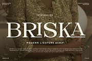 Briska - Modern Ligature Serif, a Serif Font by RagamKata (Thumbnail 1 of 10)