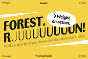 Rundale, a Sans Serif Font by Propertype (Thumbnail 6 of 15)