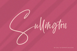 The Script Font Bundle - Vol 02