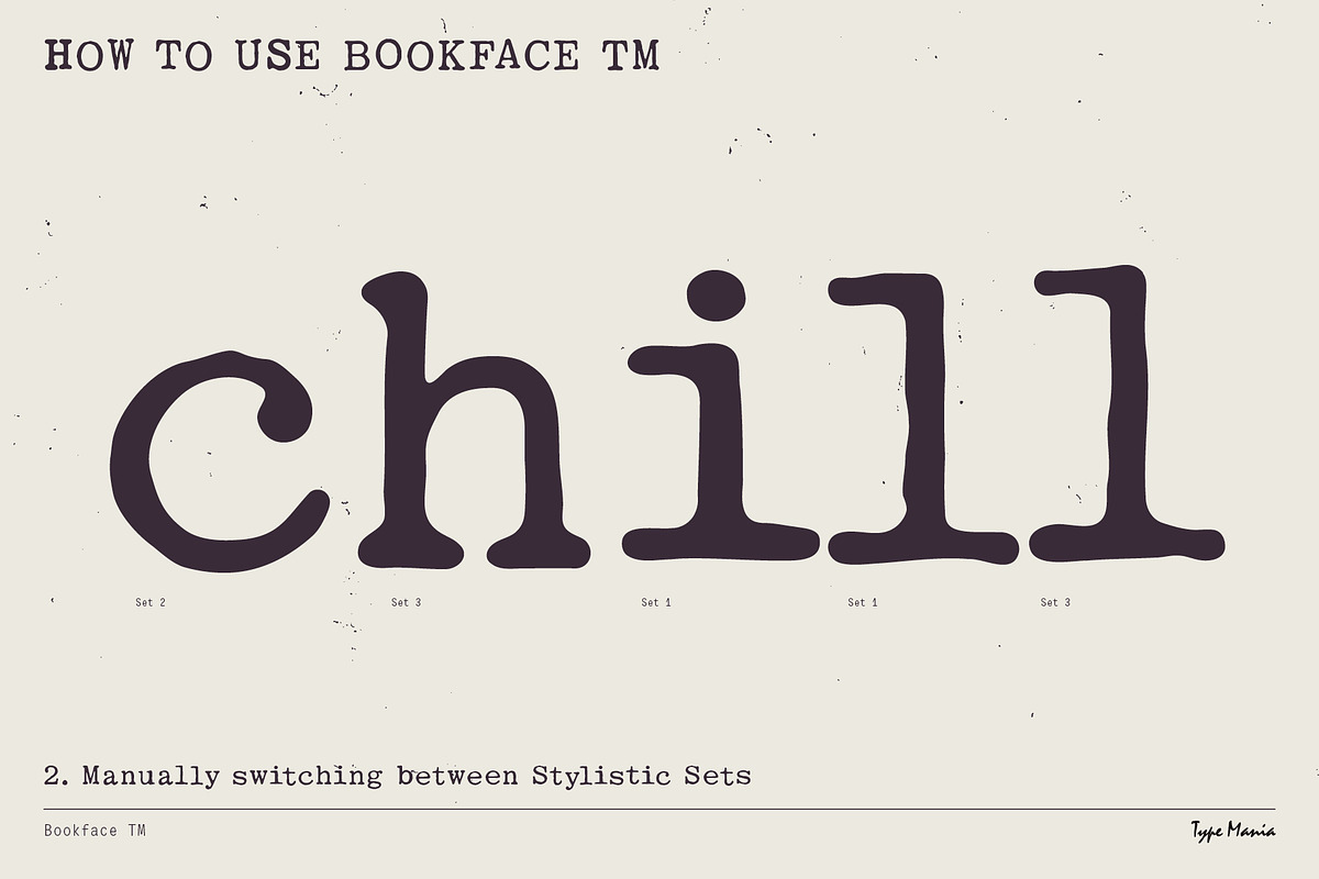 Bookface TM – Dynamic Grunge-y Type, a Slab Serif Font by Type Mania (Photo 6 of 11)