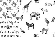 African Animals, an Animal Illustration by Ecaterina Sciuchina (Thumbnail 6 of 7)