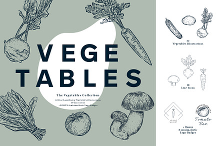 The Vegetables Collection