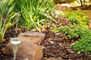 Landscaping, a Nature Photo by THP Creative
