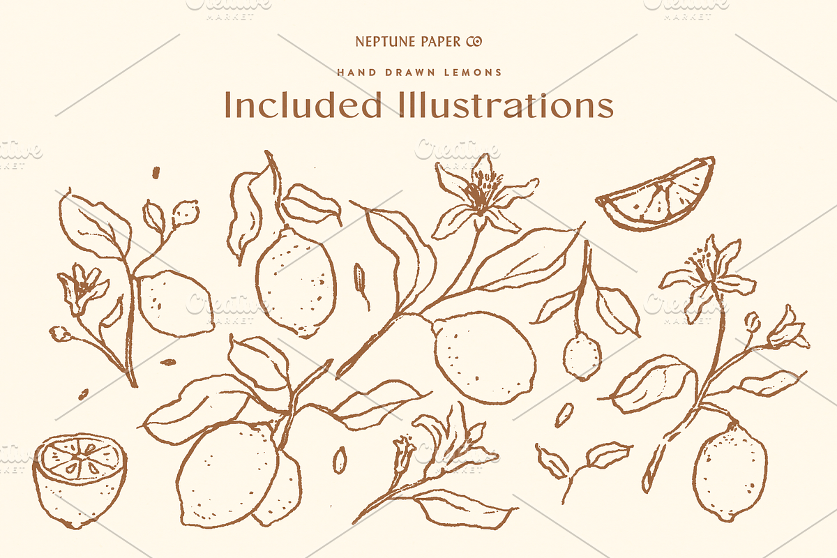 Hand Drawn Lemons, a Decorative Illustration by Neptune Paper Co. (Photo 2 of 2)