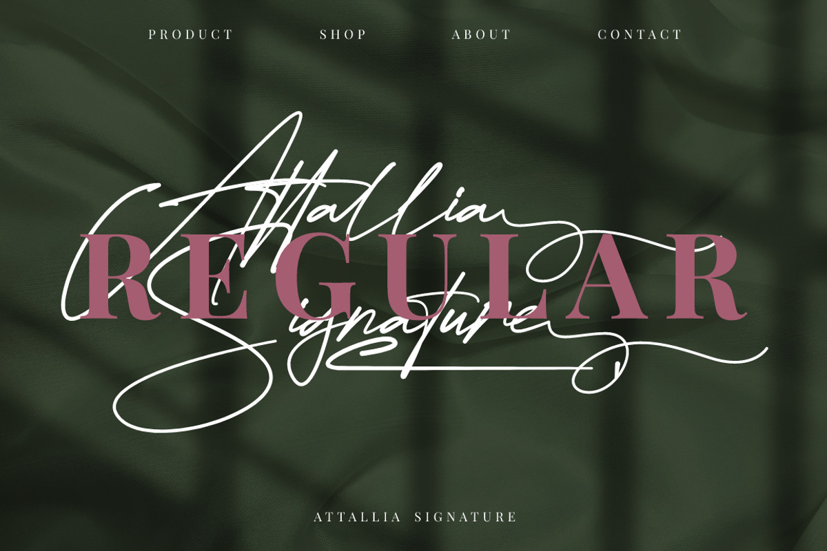 Attallia Signature Business Font, a Script Font by KennedyStudio (Photo 2 of 11)