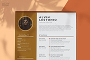 Profesional Resume / CV Template, a Resume Template by Celine Studio (Thumbnail 3 of 4)
