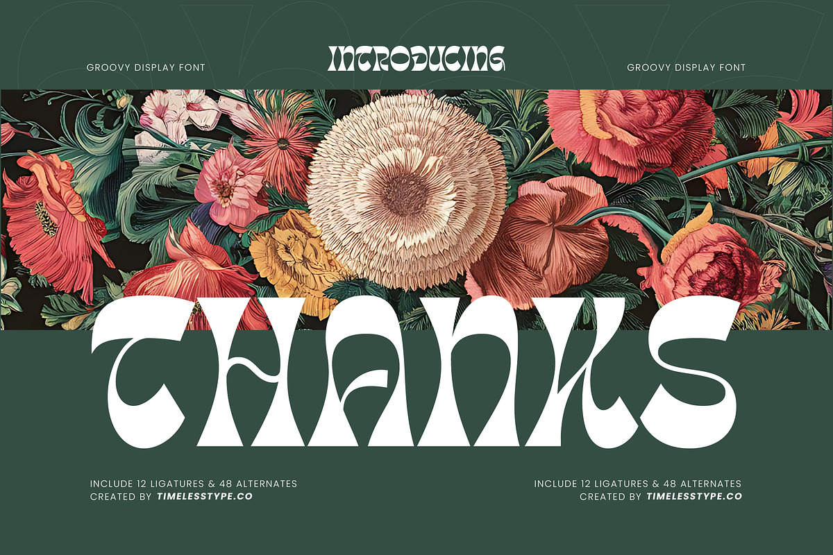 Tanqier Groovy Display Font, a Serif Font by timelesstype.co (Photo 20 of 20)
