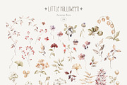 Little Halloween. Watercolor animals, a Seasonal Illustration by Kreker Kate (Thumbnail 12 of 13)