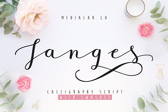 Janges script preview 8