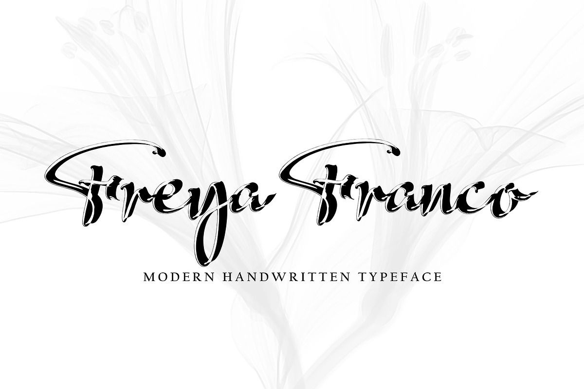 Alega, a Script Font by pineungtype (Photo 5 of 10)
