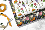 Spring Bulbous flowers, a Decorative Illustration by handsketched (Thumbnail 6 of 10)