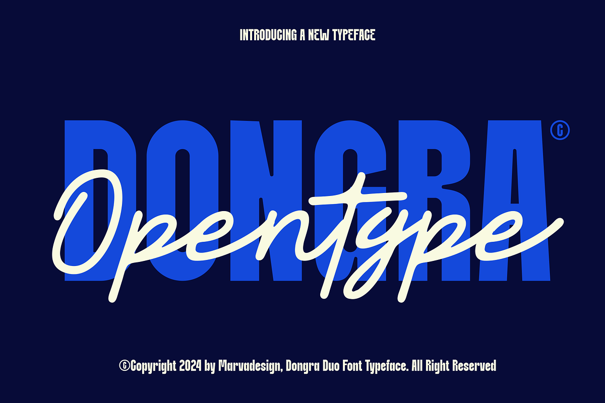 Dongra - Duo Font, a Script Font by Marvadesign (Photo 1 of 8)