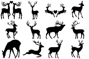 Deer,Forest,AntlerAnimals AI EPS PNG, an Illustration by FrankiesDaughtersDesign (Thumbnail 5 of 6)