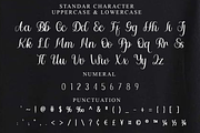 Elegant Alphabet, a Handwritten Font by FreshTypeINK (Thumbnail 5 of 9)