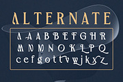 Berenhart - Elegant Modern Classy, a Serif Font by Qweera Studio (Thumbnail 10 of 12)