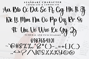 Wild, a Handwritten Font by FreshTypeINK (Thumbnail 3 of 8)
