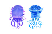 Different jellyfish, sea animals set, an Animal Illustration by Good Studio (Thumbnail 5 of 6)