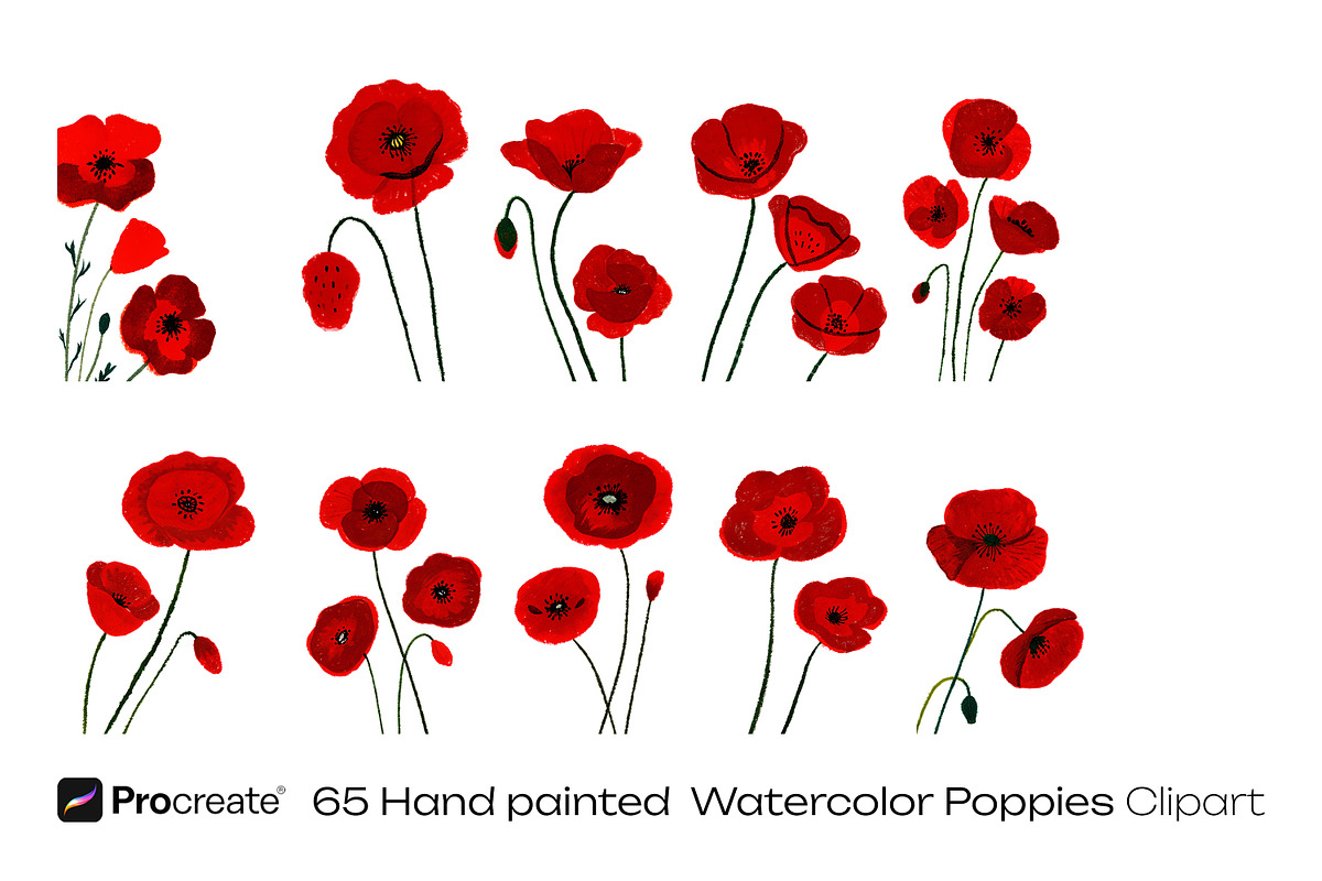 Watercolor Poppy Flowers, a Decorative Illustration by crafty (Photo 7 of 11)