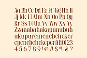 Girgan - Minimal Beauty Font, a Serif Font by Pandeka Studio (Thumbnail 9 of 9)