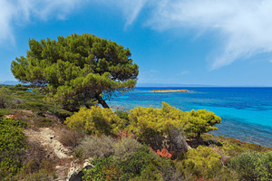 Aegean sea coast (Chalkidiki, Greece)., a Nature Photo by YuriyB